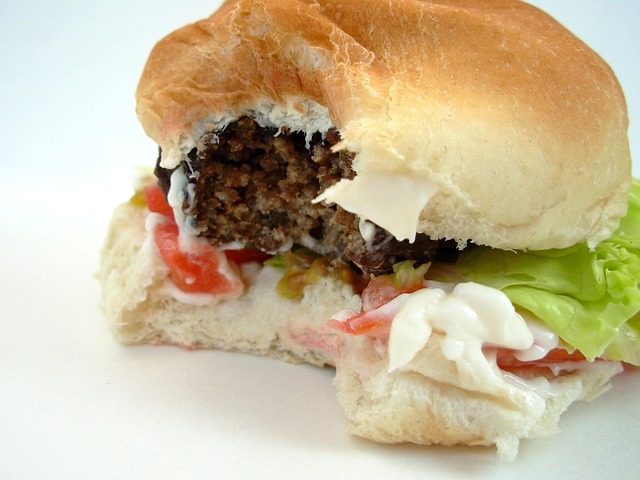 hamburger, nekvalitní potravina.jpg